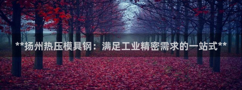 易倍单词登录平台：**扬州热压模具钢：满足工业精密需求的