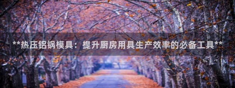 易倍企业管理软件：**热压铝锅模具：提升厨房用具生产效率