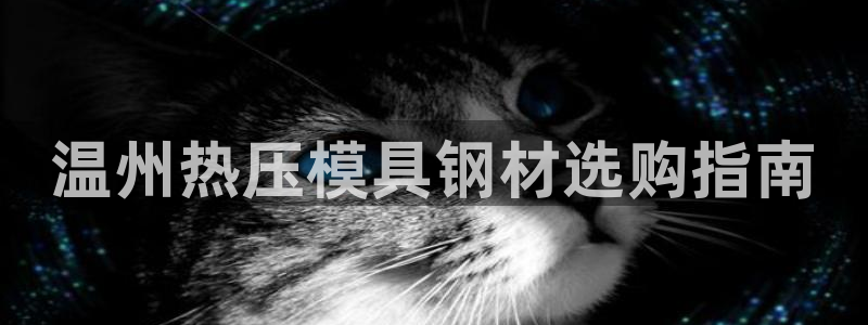 易倍申上市时间