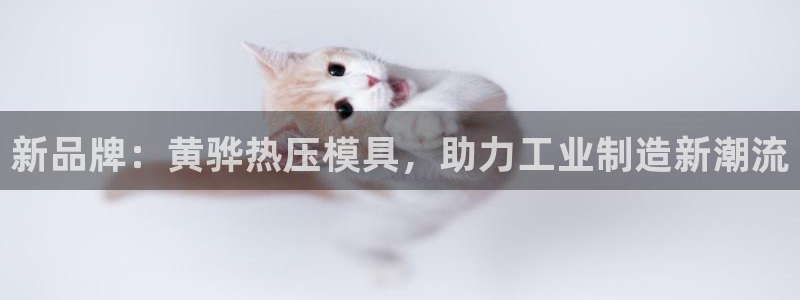 易倍申竞品:新品牌:黄骅热压模具,助力工业制造新潮流