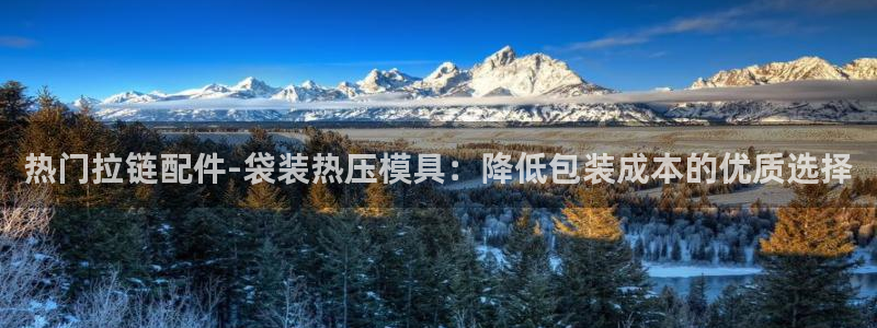 emc易倍首存500送球衣：热门拉链配件-袋装热压模具：